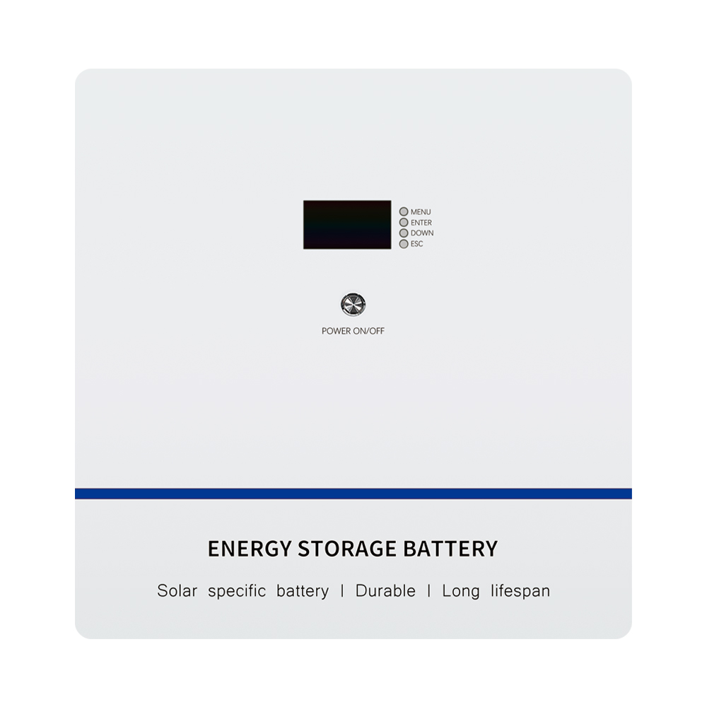Wall-Mounted LiFePO4 Energy Storage Battery 51.2V 100Ah 5.12kWh